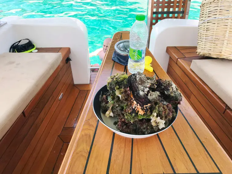 A dish of mussels on deck