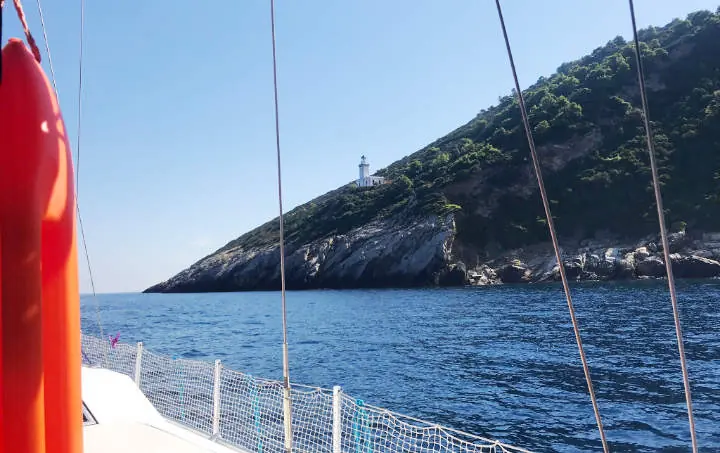 A green headland from the boat