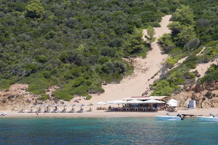 A sandy beach below the pines