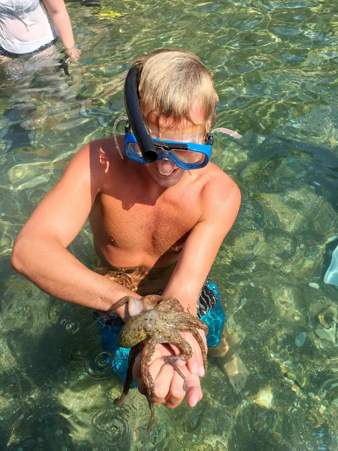 A sea urchin found in the shallows