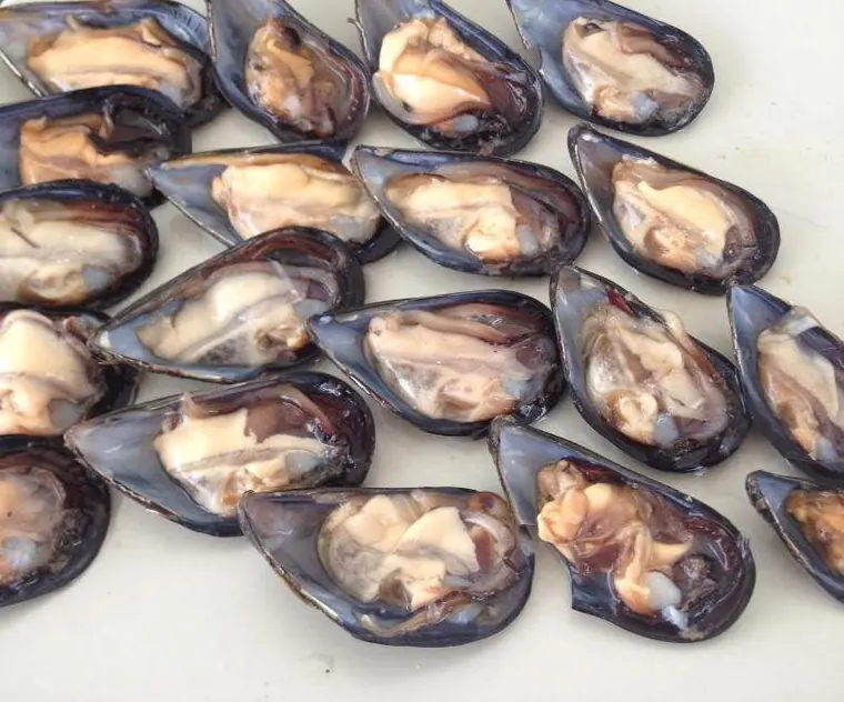 Fresh mussels