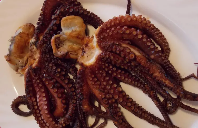Grilled octopus