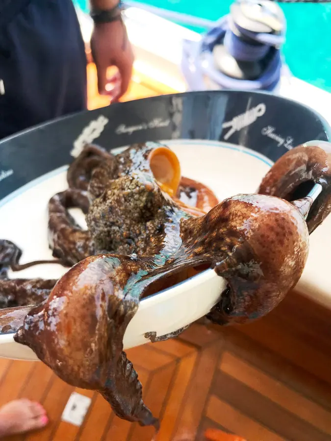 Shellfish on a plate
