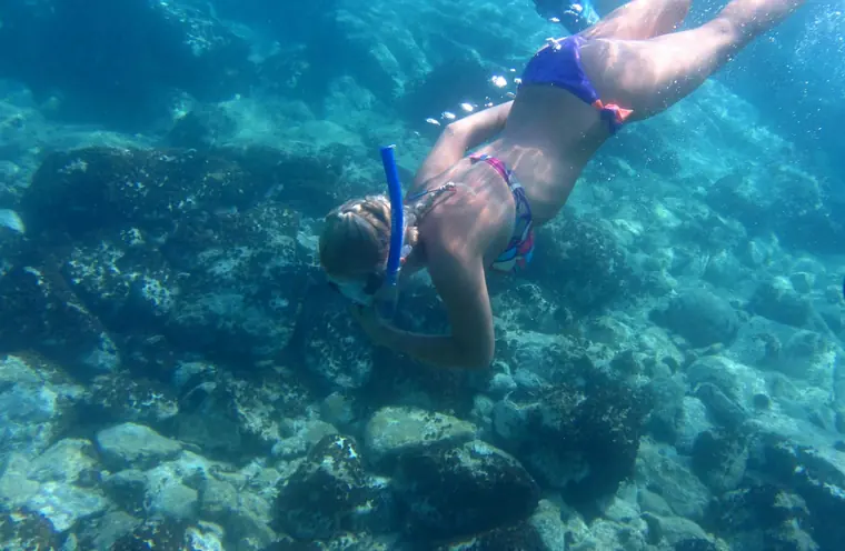 Snorkelling over the rocks